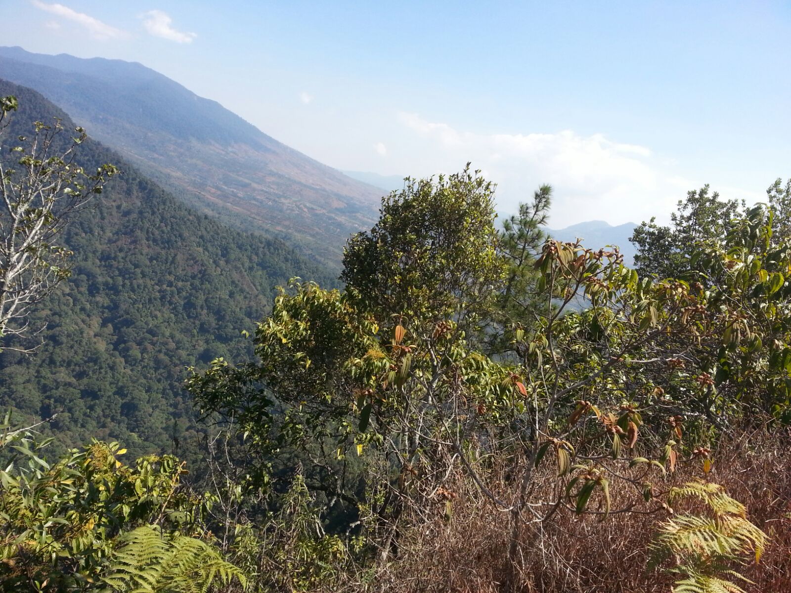 Trekking Gunung Rakutak